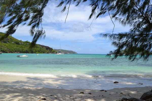 Scvic   Victoria, Mahé   Penstones
